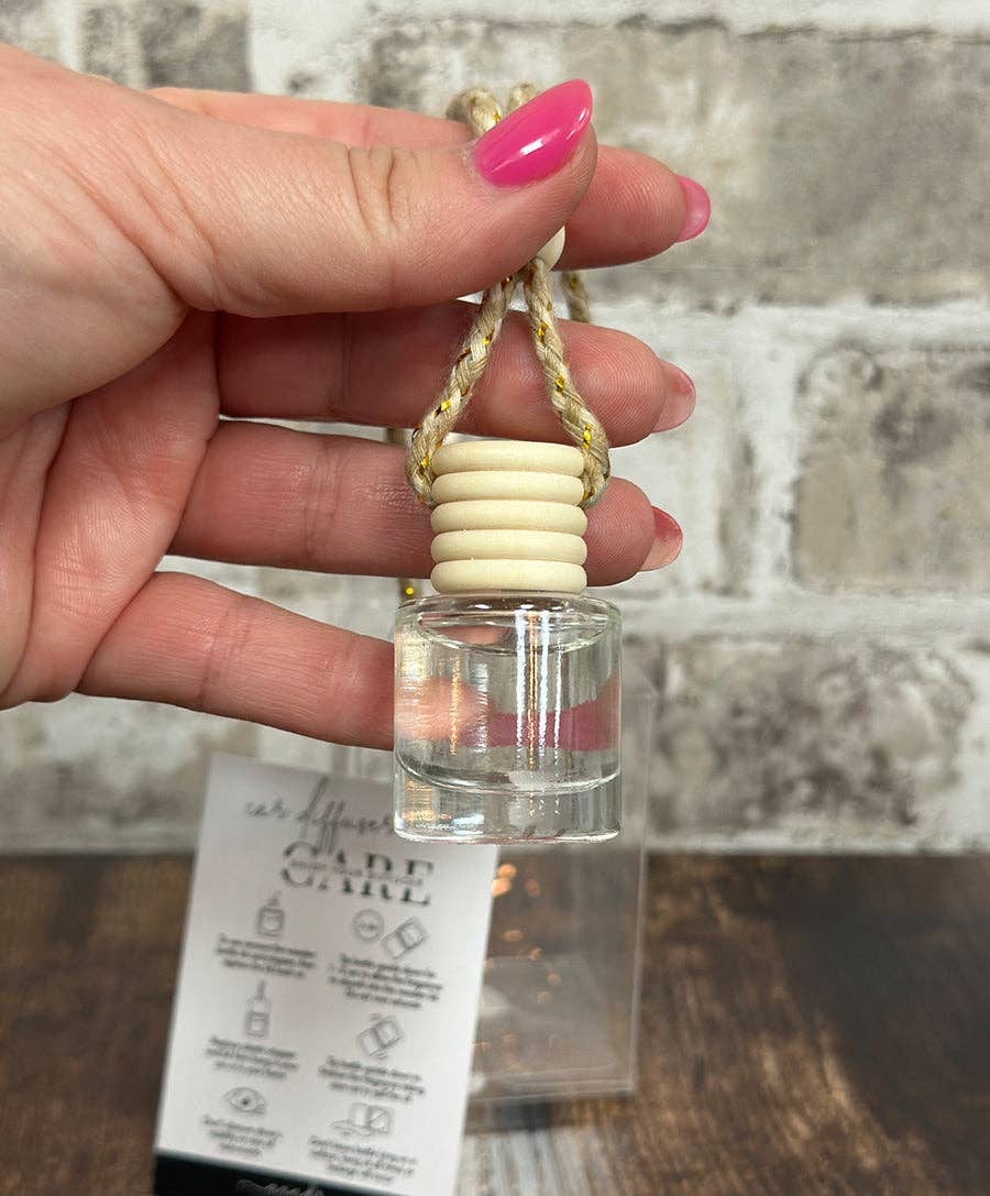 Baja Cactus Car Diffuser