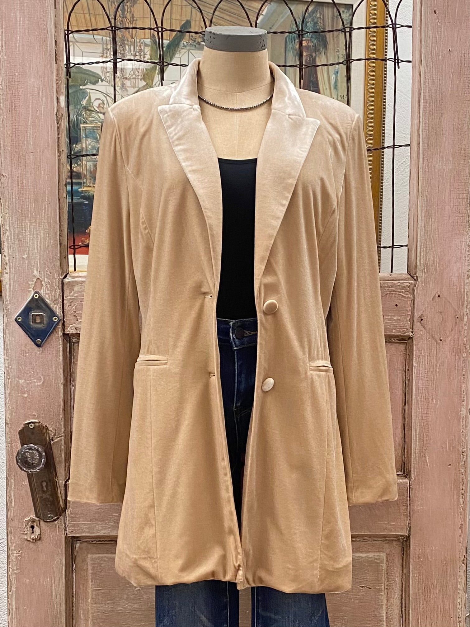 Velvet Blazer