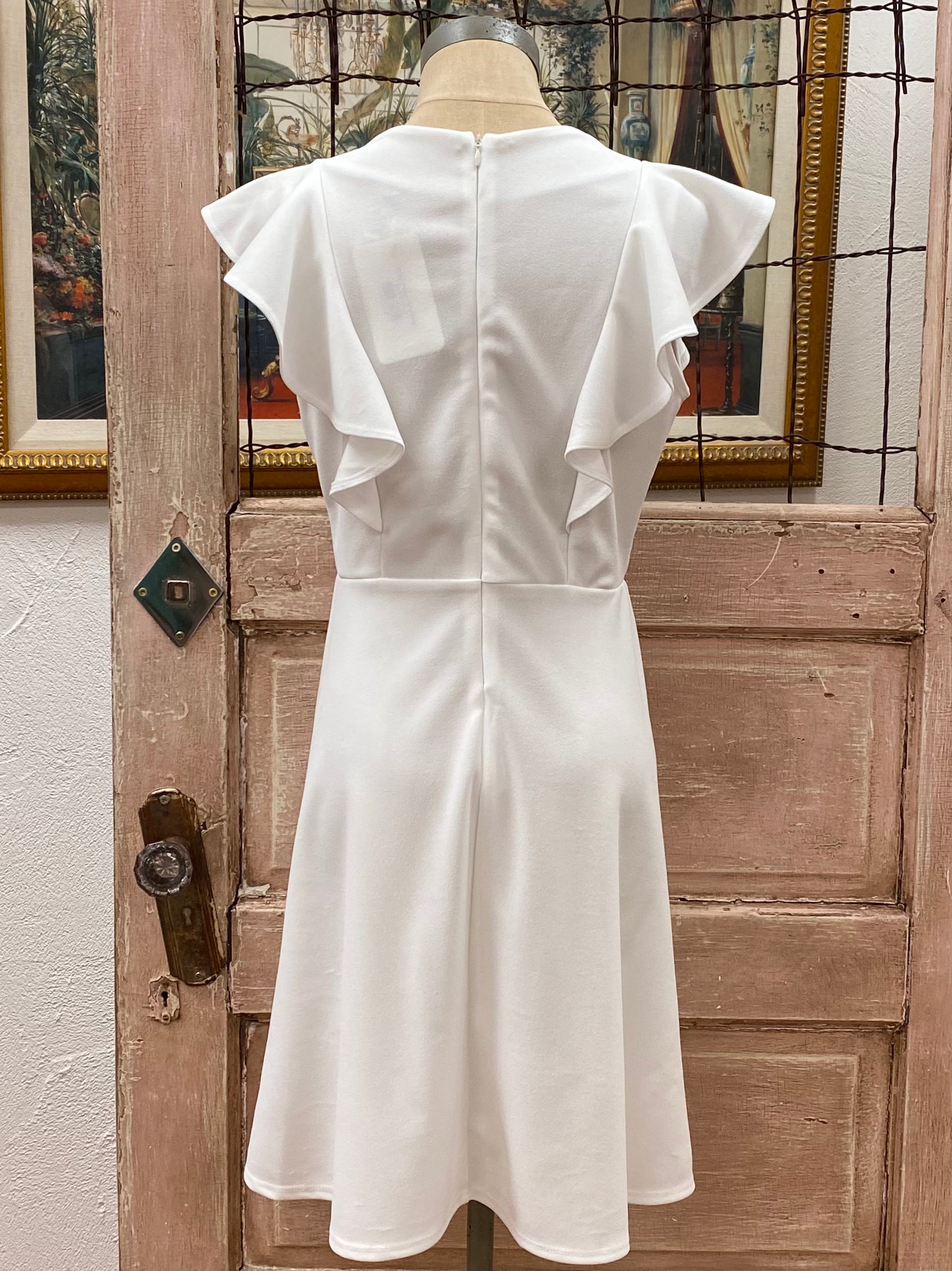 Ruffle Sleeve A-line Dress